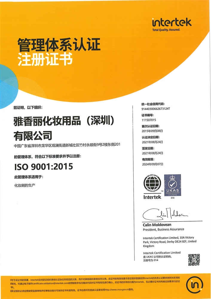 ISO9001：2015 中文